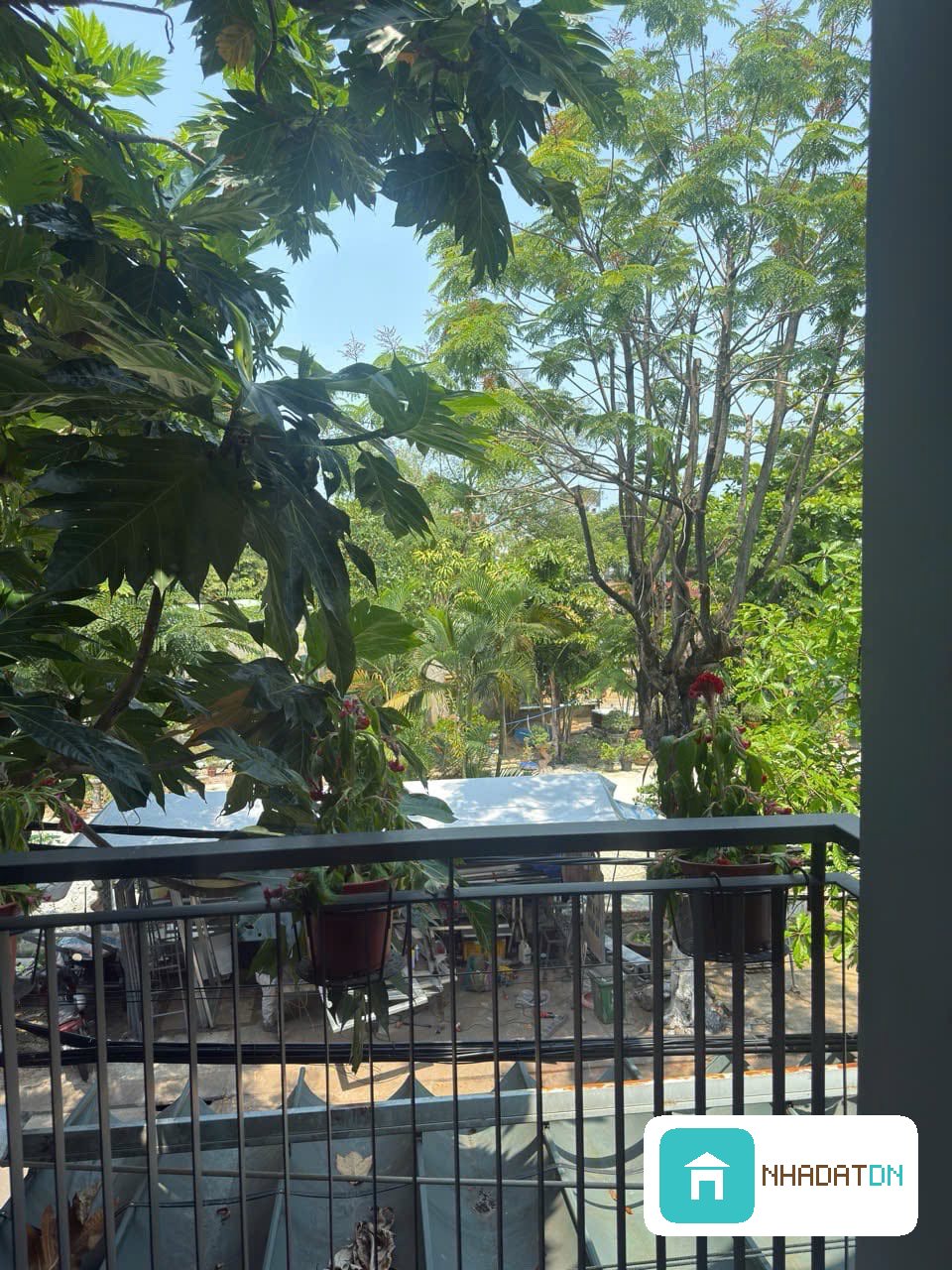 🔥 SIÊU PHẨM NHÀ HƯNG HÓA 2 – HÒA CƯỜNG – VIEW CÔNG VIÊN CỰC ĐẸP 🌳🔥 thumb 5