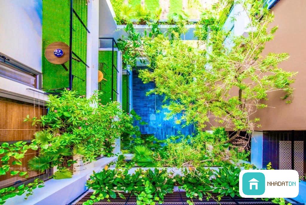 🌟 VILLA 6 TẦNG LÊ MẠNH TRINH – CÓ HẦM & HỒ BƠI – DÒNG TIỀN 400TR/THÁNG 🌟 thumb 8
