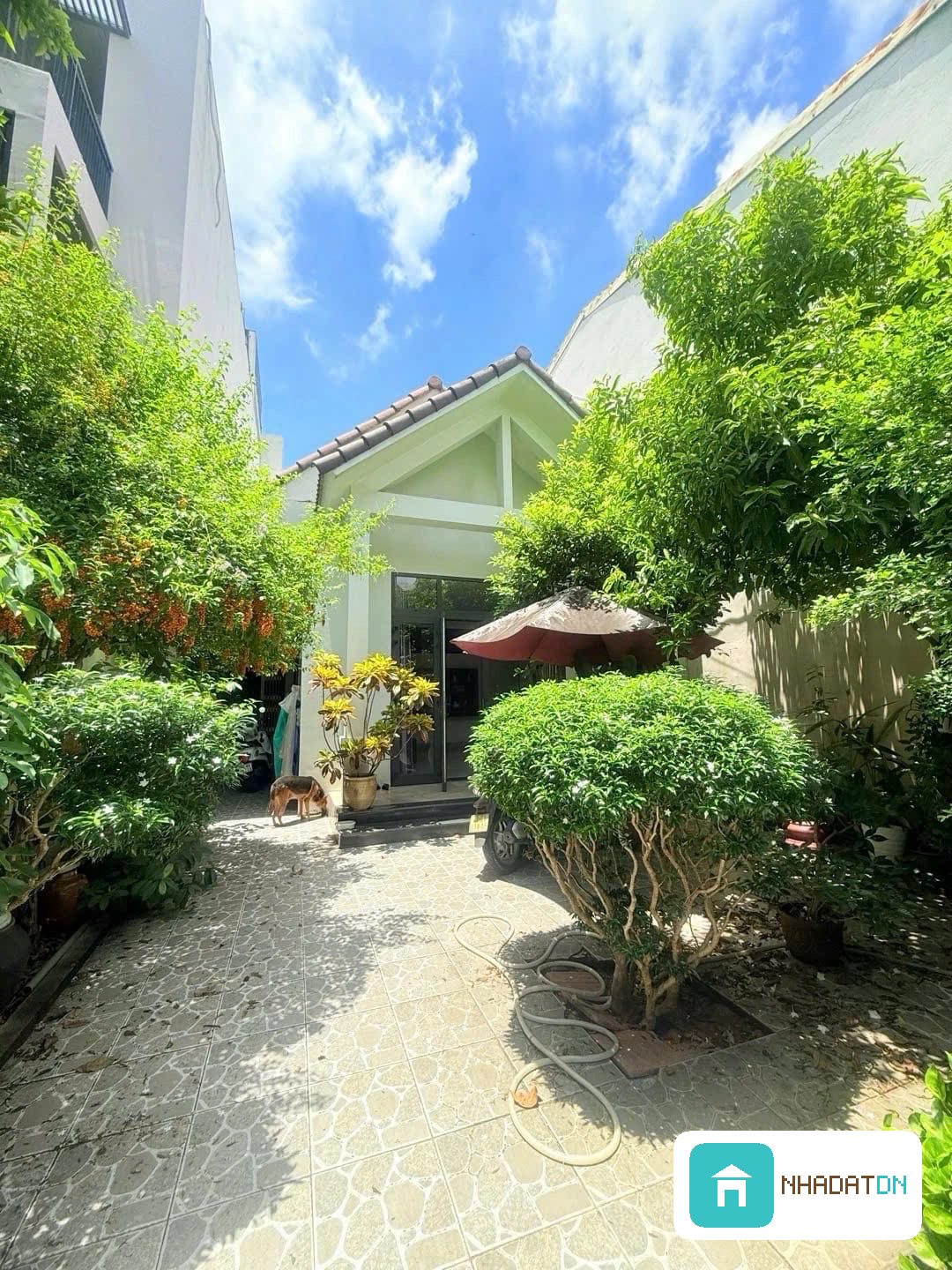 🏡 BIỆT THỰ MINI SÂN VƯỜN – HÒA CƯỜNG – 174M² – NGANG 7M NỞ HẬU 🌿✈️ thumb 4