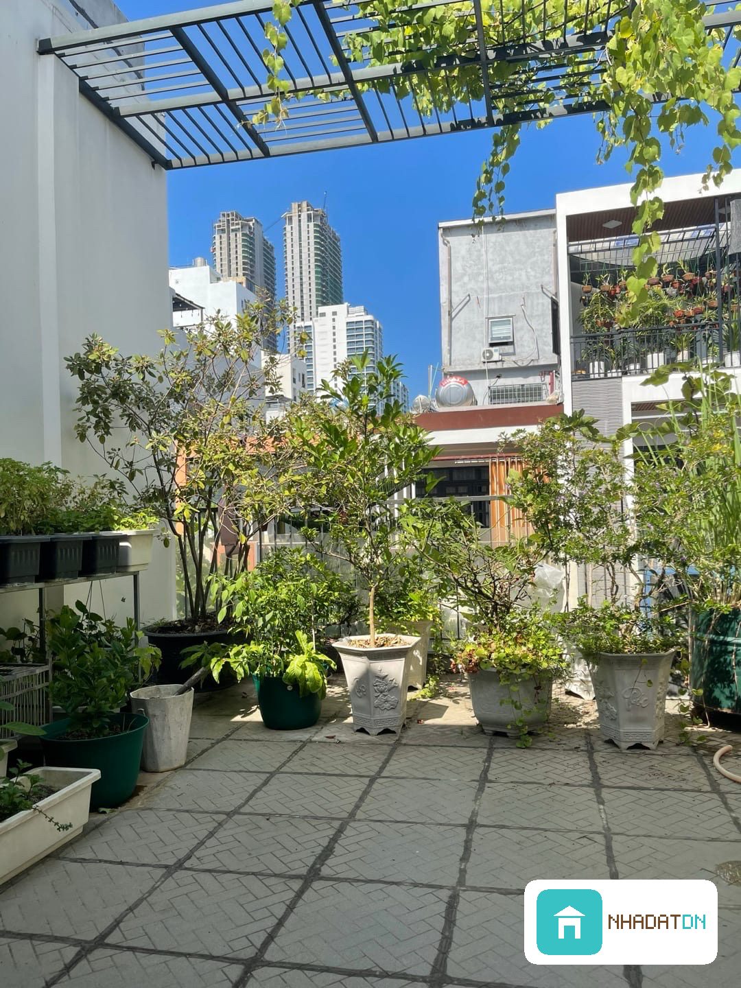 🏡 NHÀ 3 TẦNG MẶT TIỀN BÙI HỮU NGHĨA - SƠN TRÀ – GIÁ ĐẦU TƯ HẤP DẪN 🌊 thumb 3
