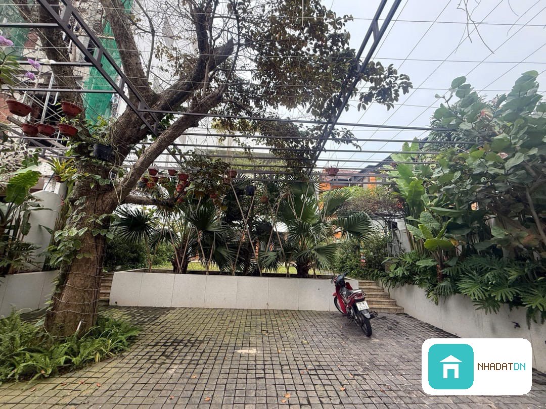 🌊 SIÊU PHẨM LÂM HOÀNH – QUỸ ĐẤT LỚN SÁT BIỂN – DÒNG TIỀN 60TR/THÁNG 🌊 thumb 2